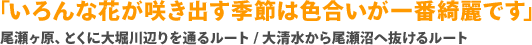 「いろんな花が咲き出す季節は色合いが一番綺麗です」